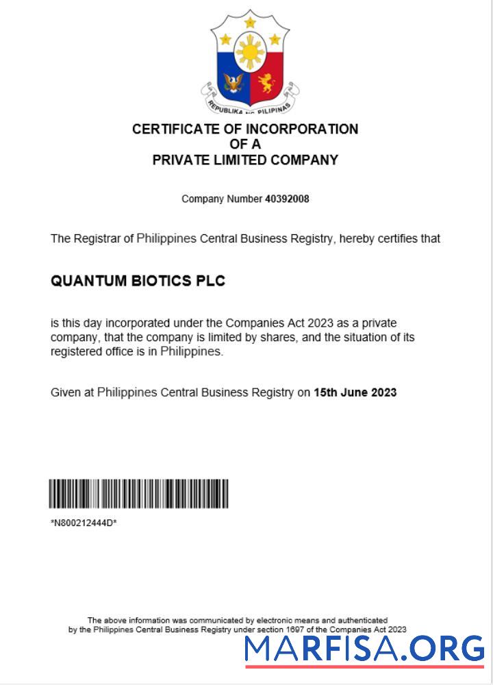 Realistic Philippines business registration certificate Word and PDF template